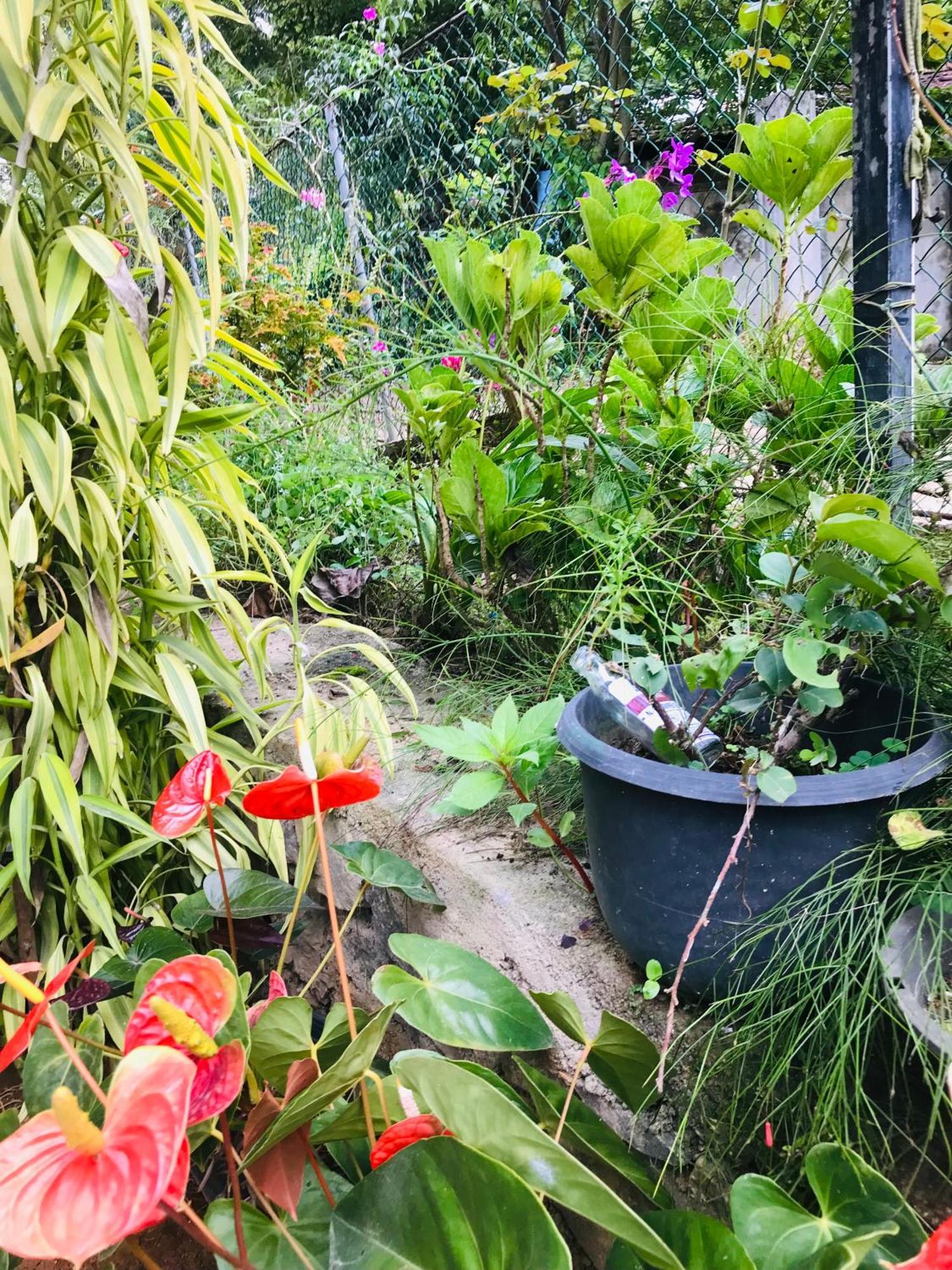 Cinnamon Homestay Ella Εξωτερικό φωτογραφία