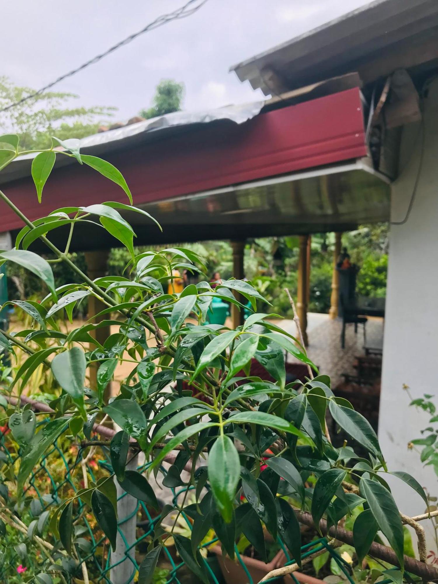 Cinnamon Homestay Ella Εξωτερικό φωτογραφία