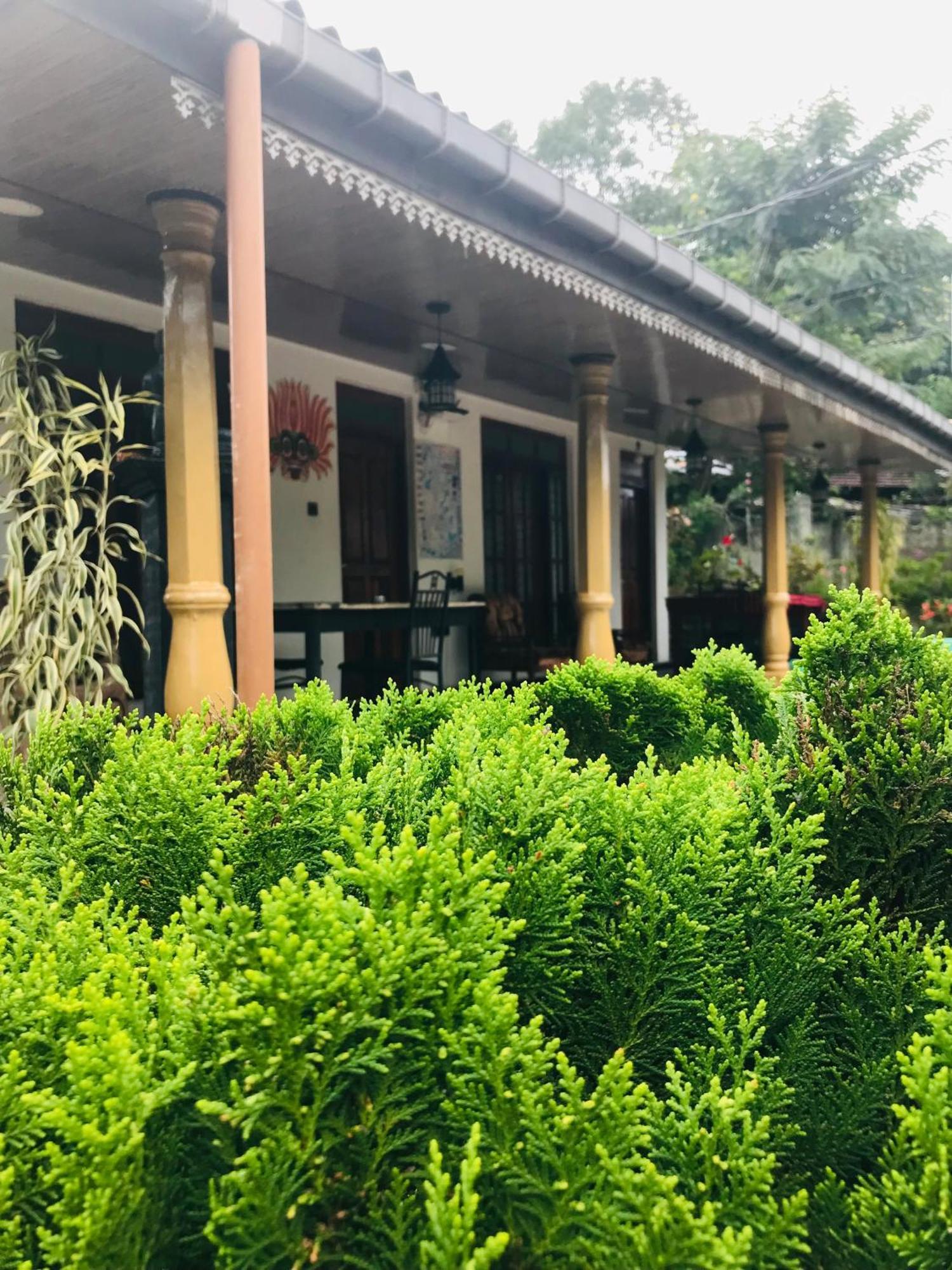 Cinnamon Homestay Ella Εξωτερικό φωτογραφία