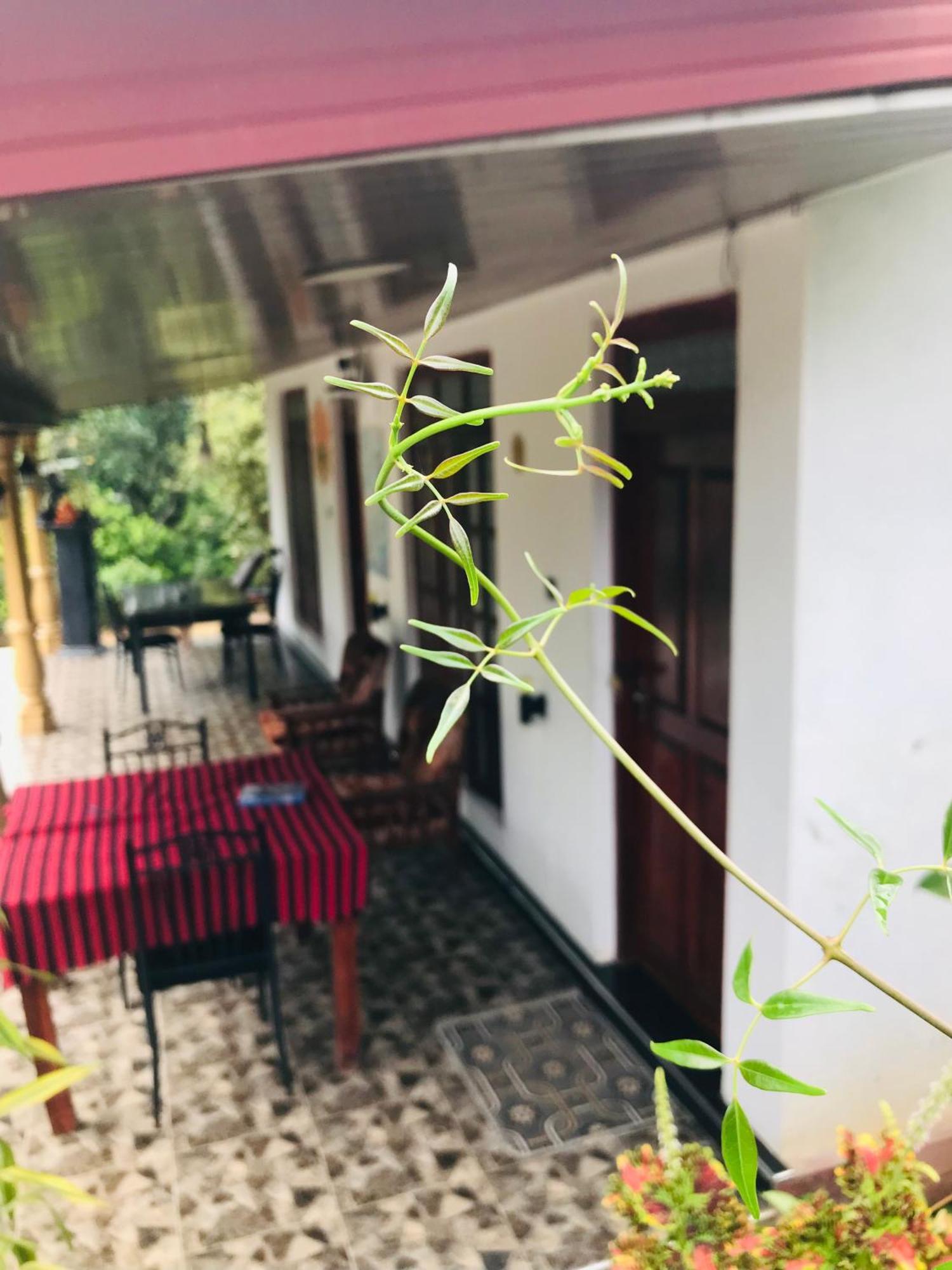 Cinnamon Homestay Ella Εξωτερικό φωτογραφία